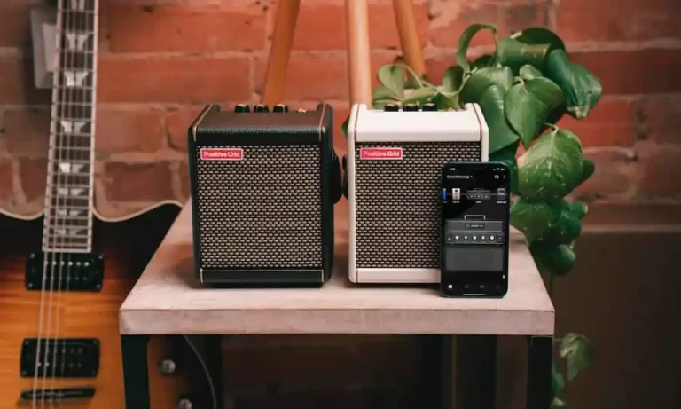 bass guitar amplifiers